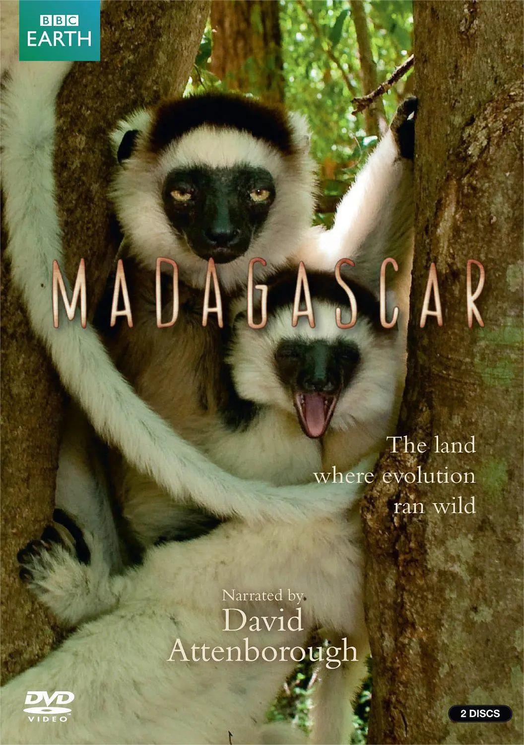 马达加斯加2011